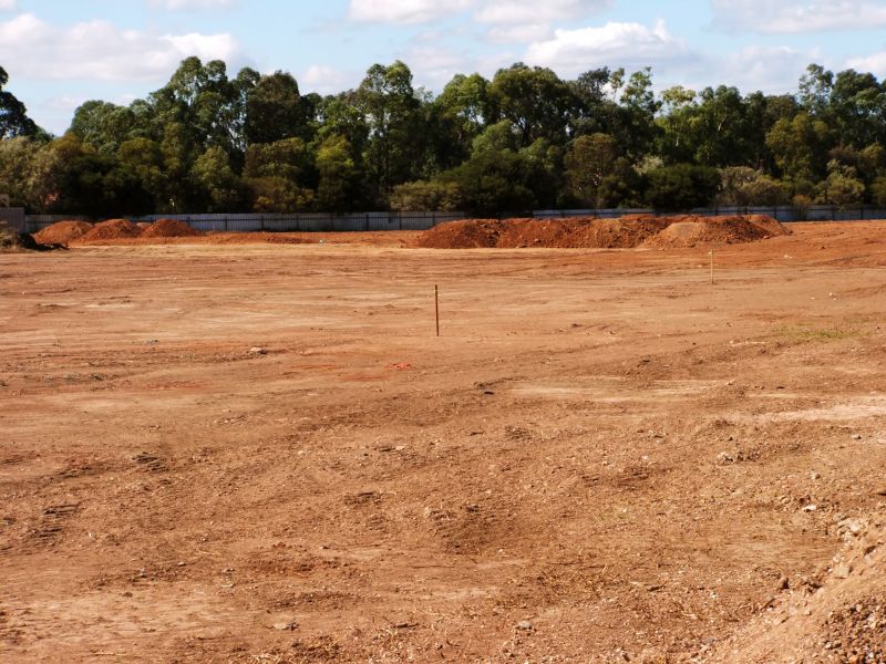 Clearing in Progress