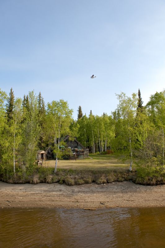 Brush and Debris Cleanup