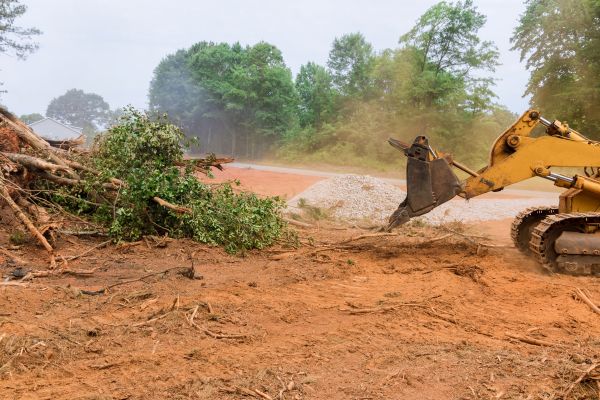 Cost of Ground Clearing in Brunswick