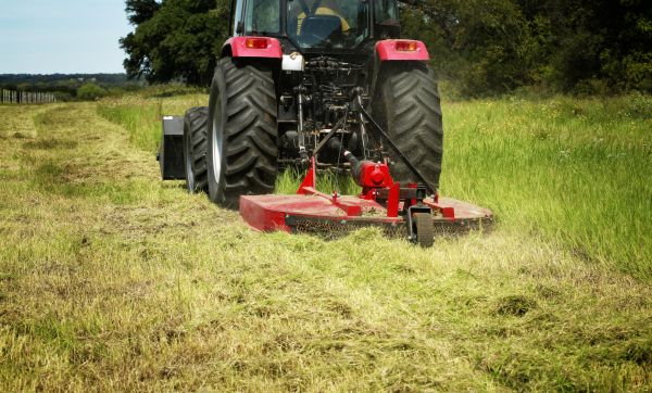 Cost of Brush Clearing Service in Brunswick