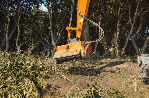 Cost of Brush Removal Service in Brunswick
