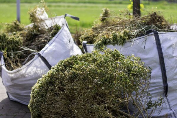 Cost of Bushes Clearing in Brunswick